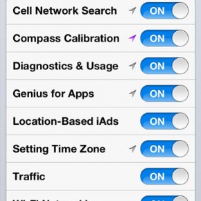 iOS 6: Privacy opties